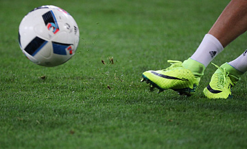 Бразильский футболист Рикардо перешел из "Ботафого" в "Динамо"