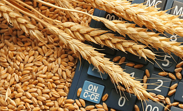 Белоруссия купит российское зерно