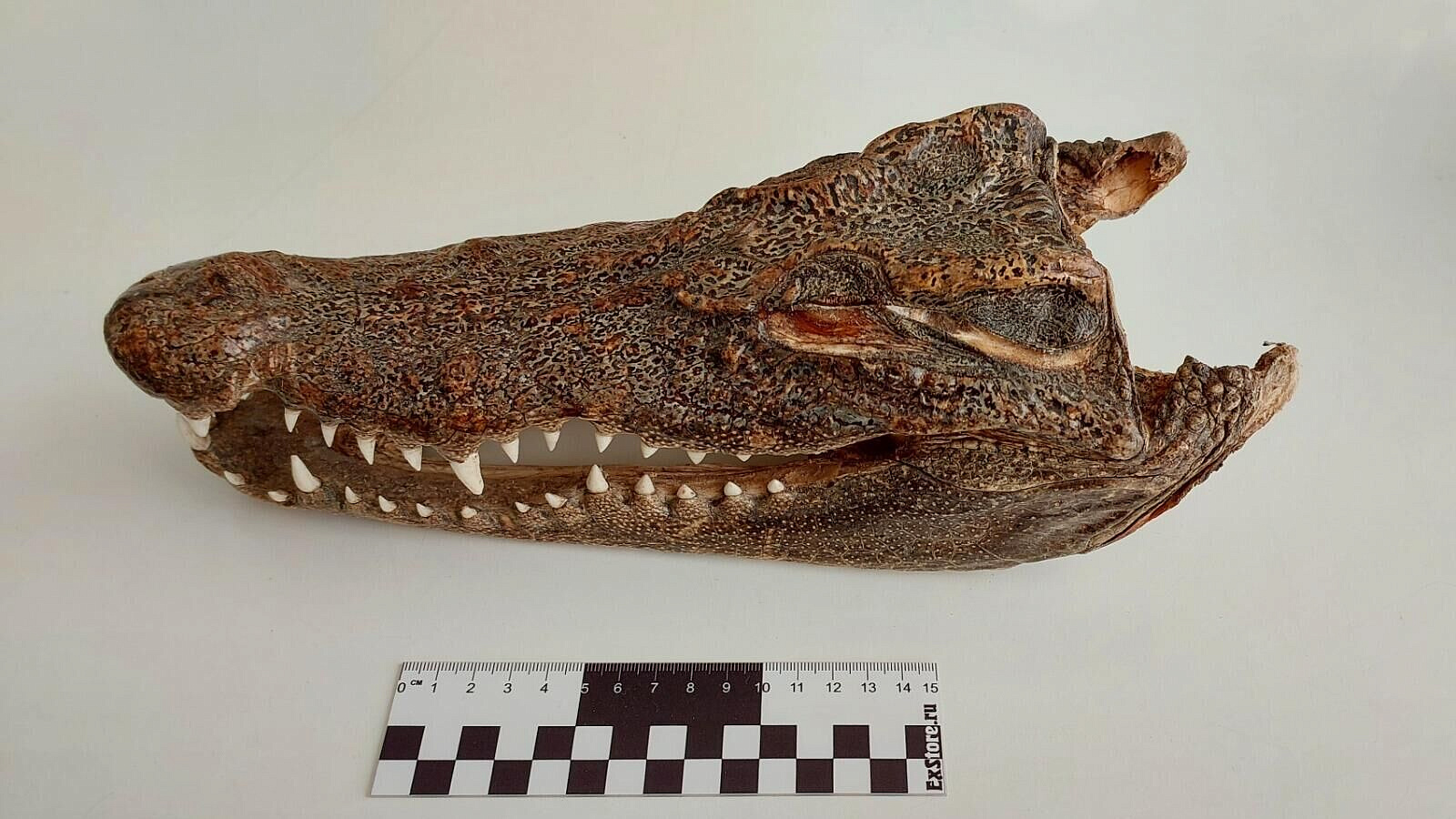 ��������� �� �������� ���������� � ������� ��������� � ��������� �����