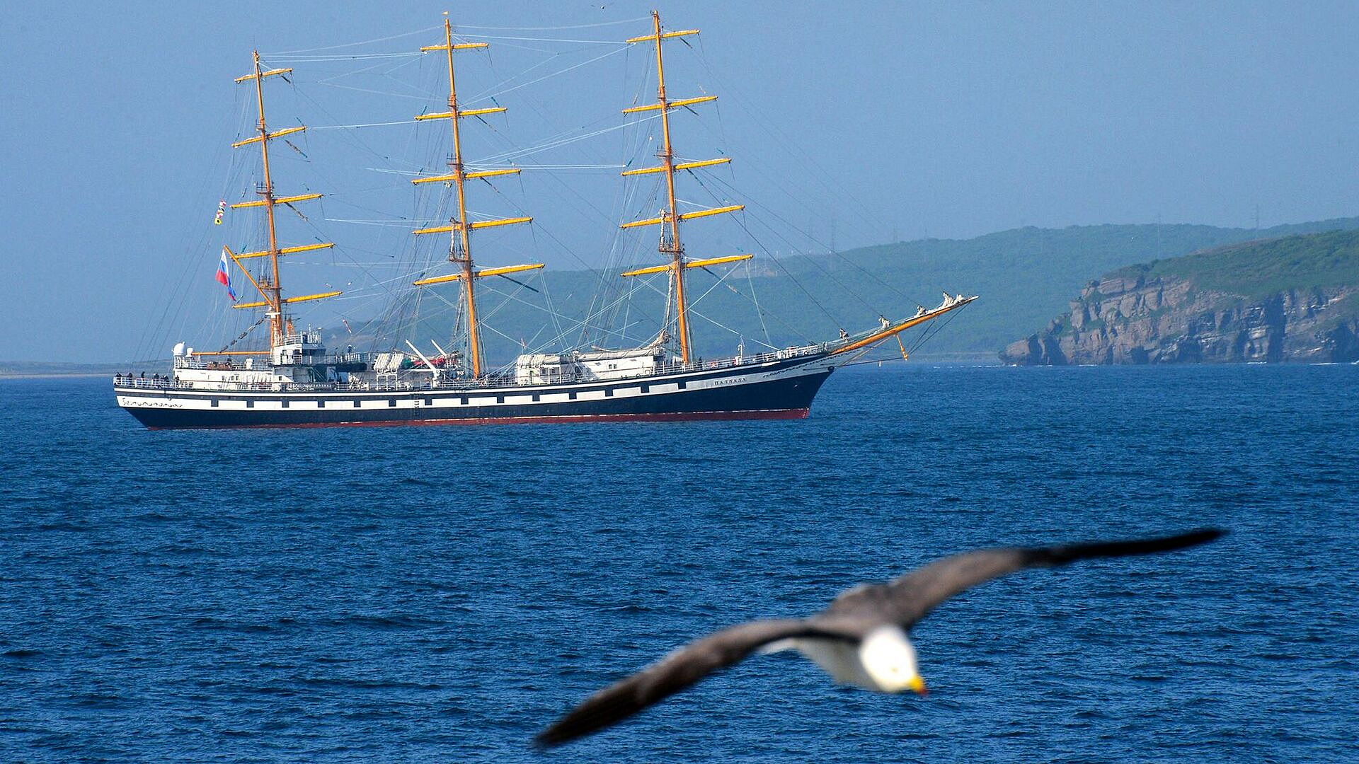 Парусник "Паллада" прибыл в северокорейский порт 