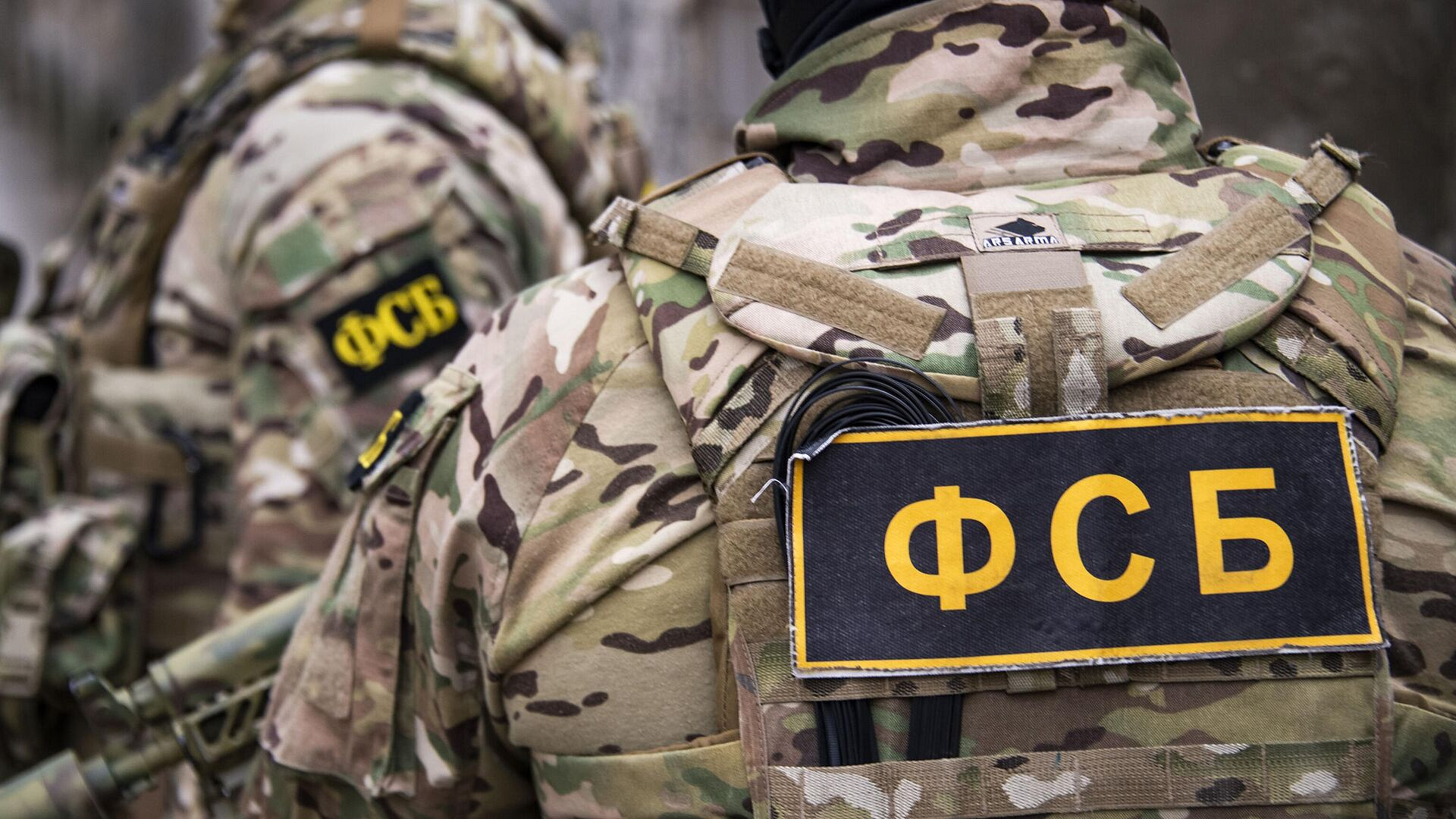 Исполнителю сорванной атаки в Подмосковье сулили большие деньги
