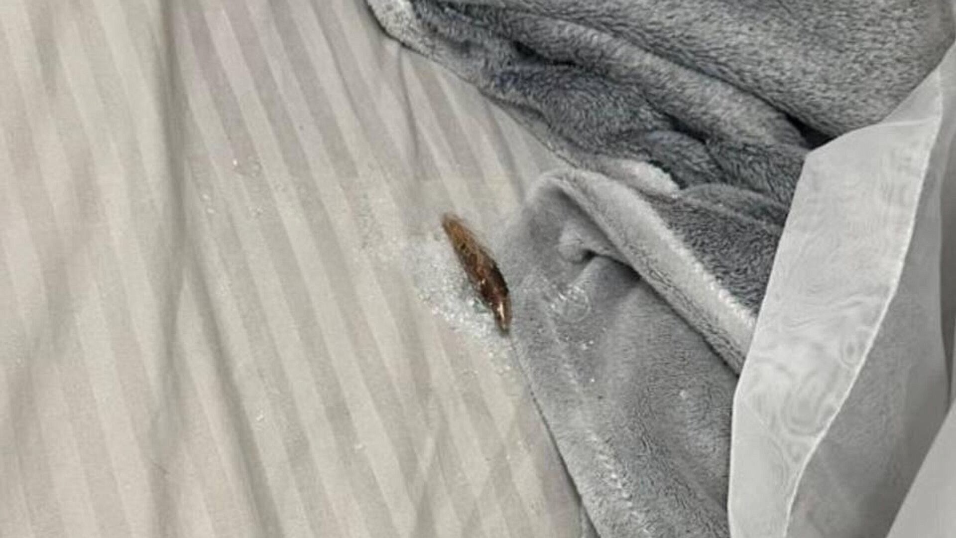 Пуля от работы украинских ПВО влетела в кровать жителя Киева