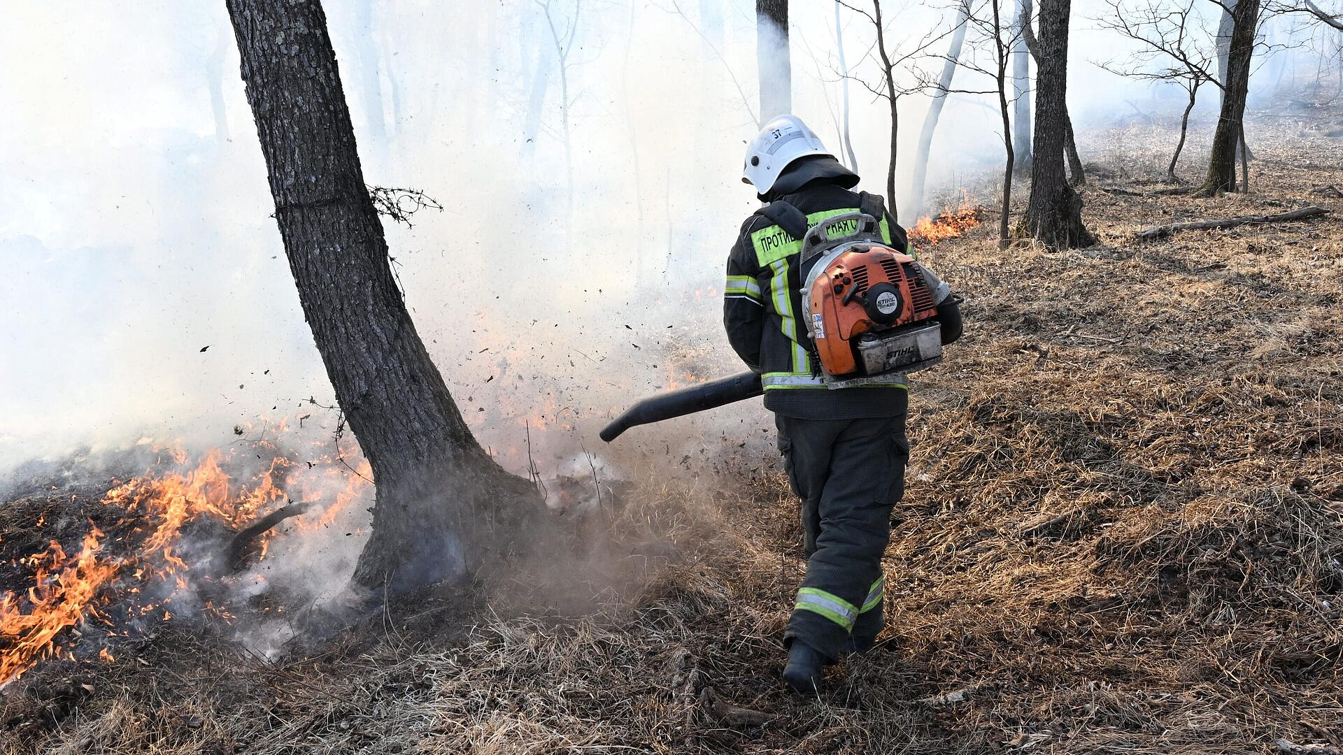 � ������ �� ��������� ����� �������� 44 ������