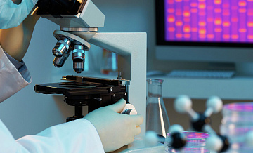 � ������ ����������� �������� ����������� ����������� � �����������