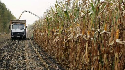 ������� ��������� ������� �������� �� �������������� ��������