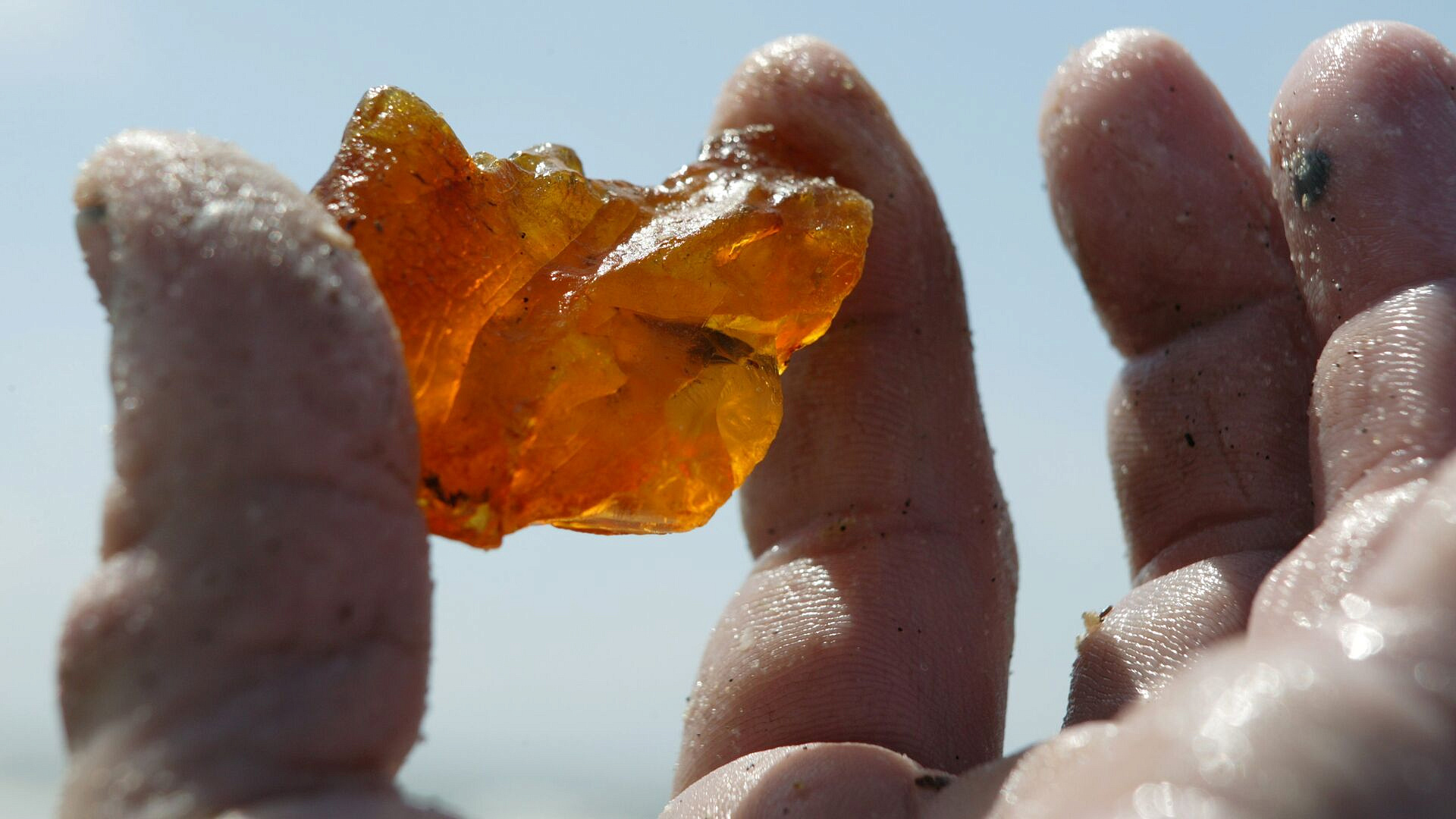 Калининградская ОПГ пойдет под суд за незаконный оборот янтаря