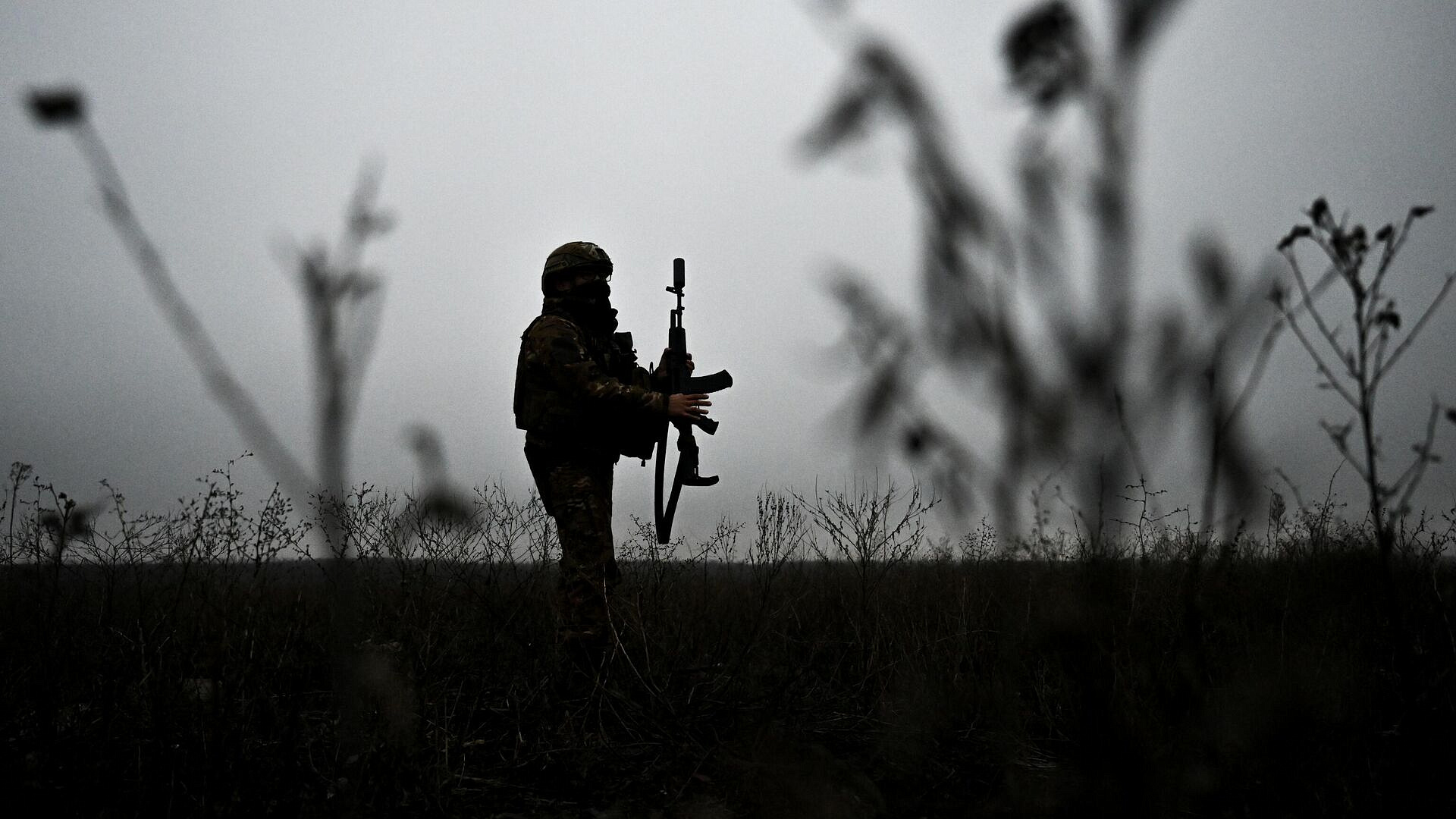 "�������� �����������". � �������� ����������������� ��������� ���