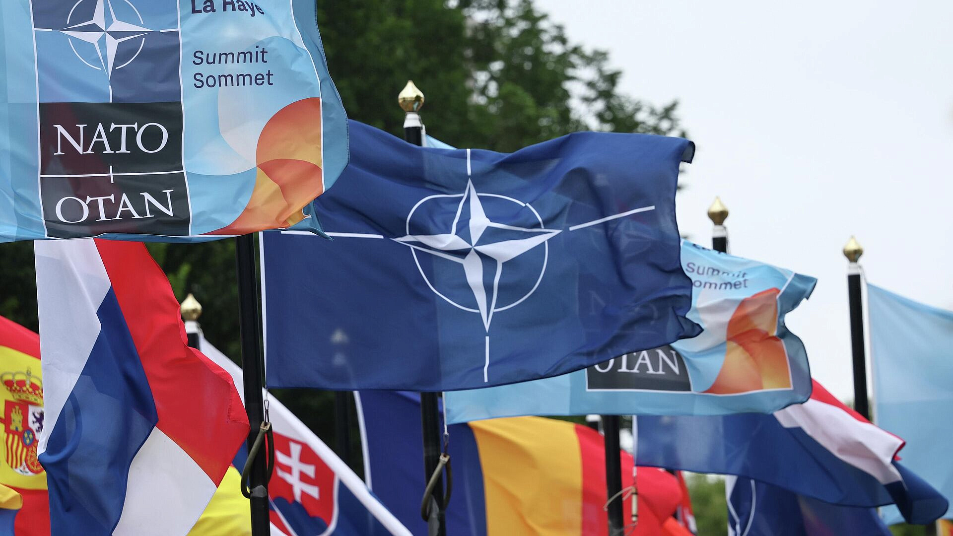 ������ ���� �������� �������� � ����� ������ � �������� ��������� �������