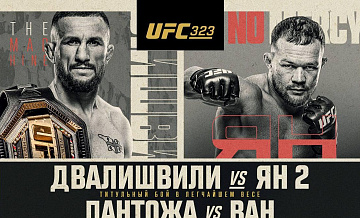 Реванш Ян - Двалишвили на UFC 323: смотреть онлайн
