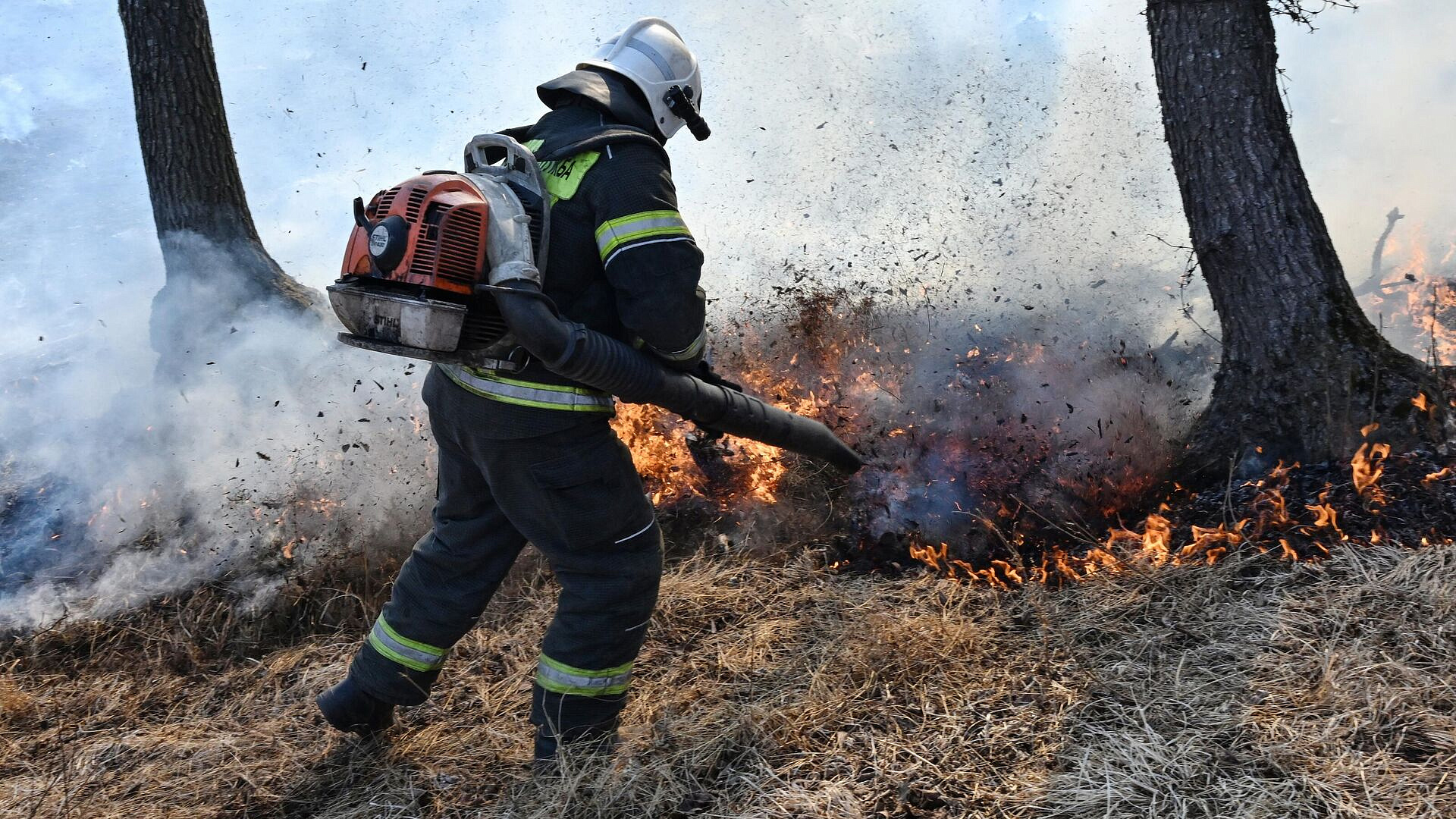 � ������ �� ��������� ����� �������� 25 ��������� ������� 