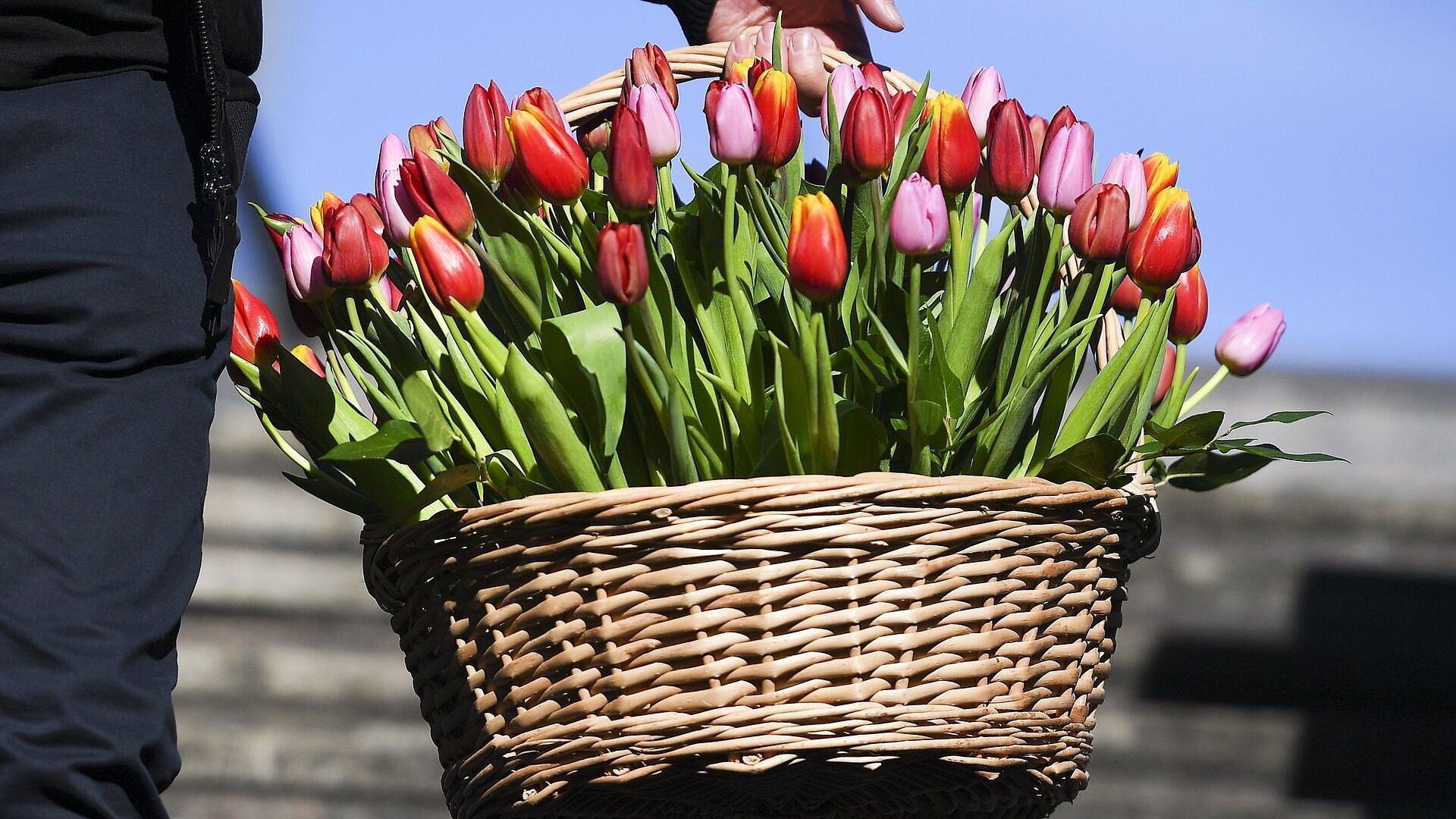 Дипломат рассказала, как в странах Азии отмечают Международный женский день