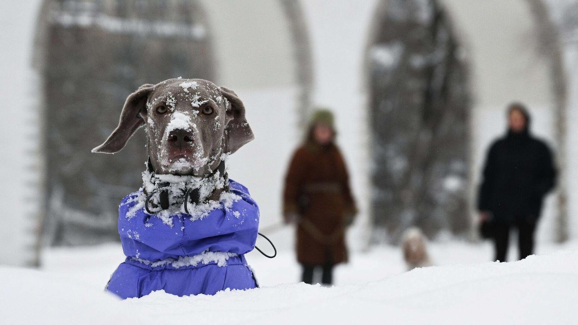 Синоптики рассказали, когда сугробы в Москве уменьшатся вдвое