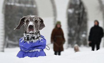 Синоптики рассказали, когда сугробы в Москве уменьшатся вдвое