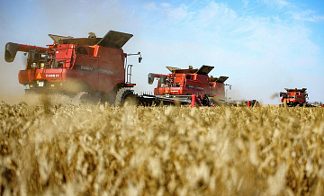 В России появится цифровой токен, эквивалентный ста килограммам пшеницы