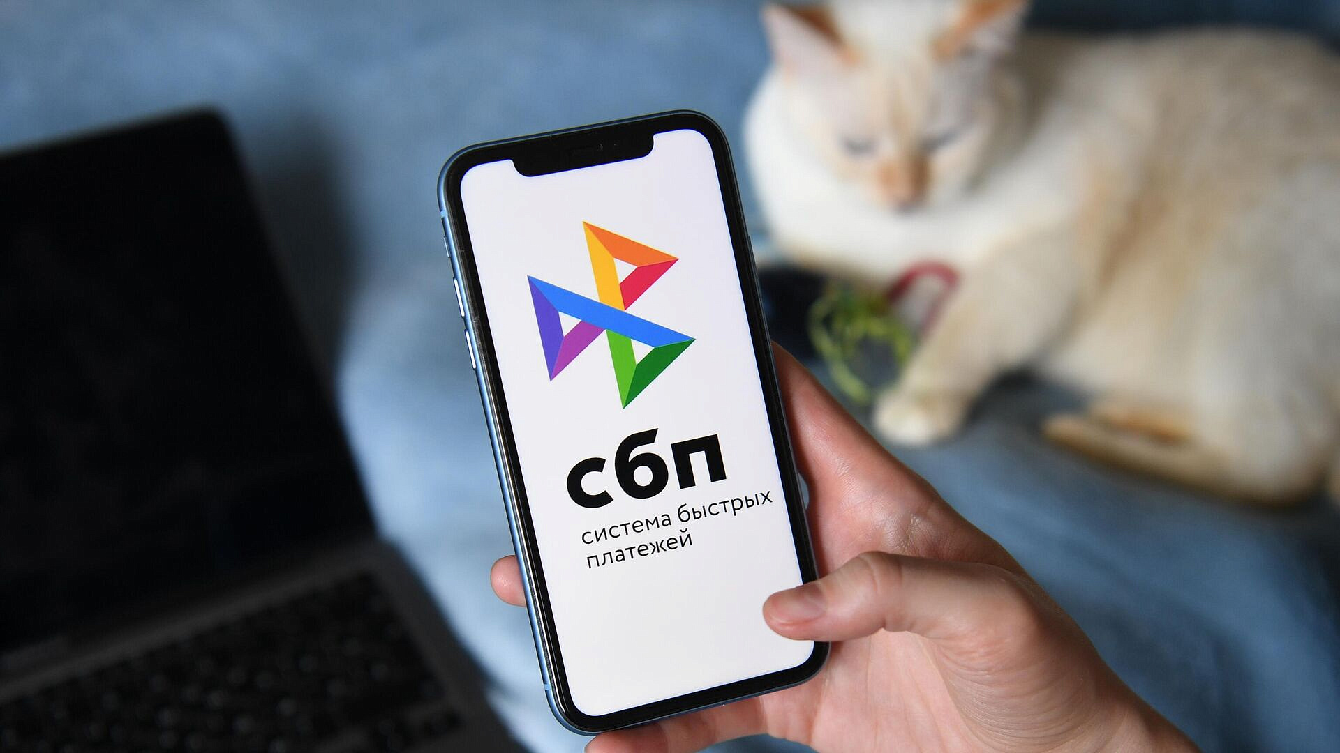 В России с июля станет обязательным заполнение ИНН при переводах через СБП