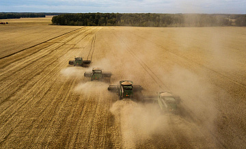 Россия нарастила поставки пшеницы в Египет