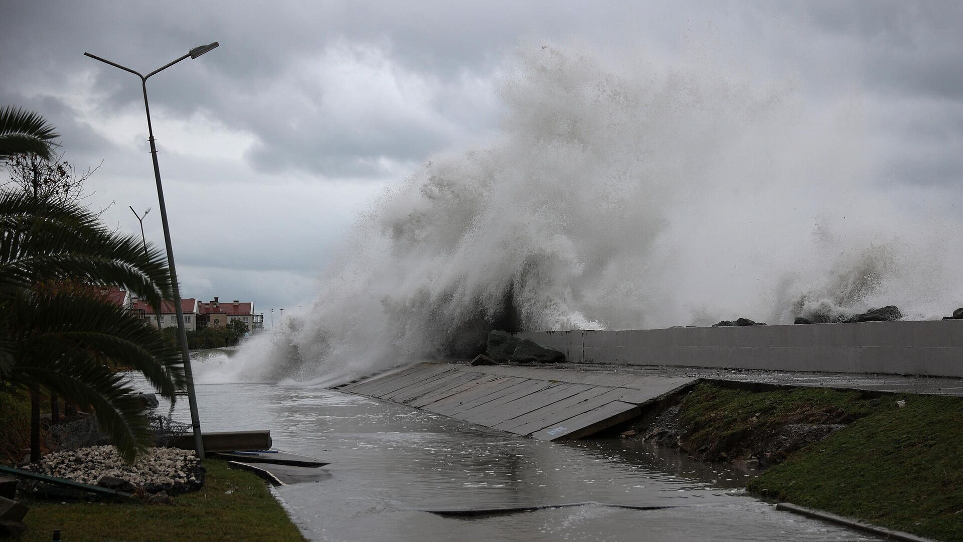 � ���� � ������ ��������� ����� � �������� ����� �� 25 ������ � �������