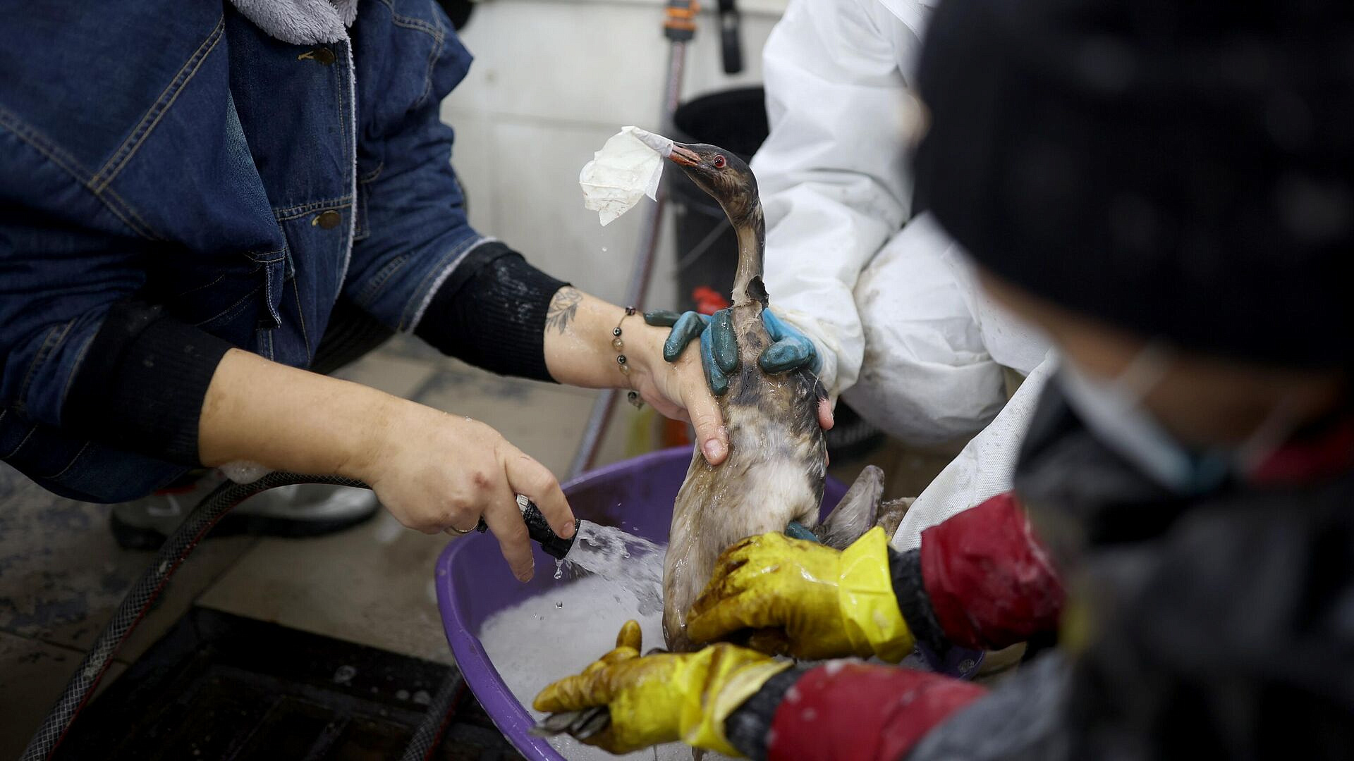 ������������ �� ������ � ����� ���� ��������� �� ���������� � ����������