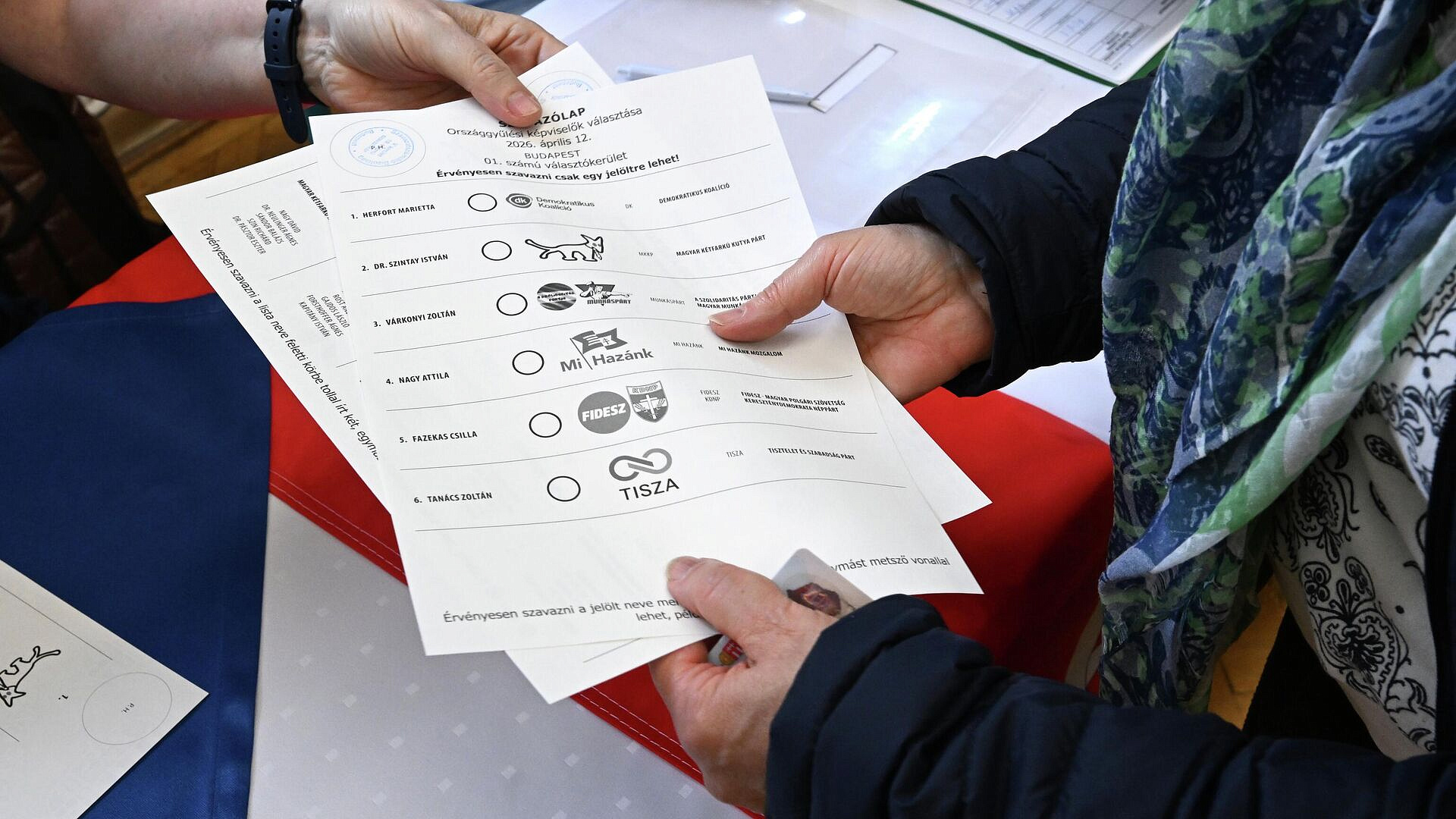 Оппозиционная партия "Тиса" лидирует на парламентских выборах в Венгрии