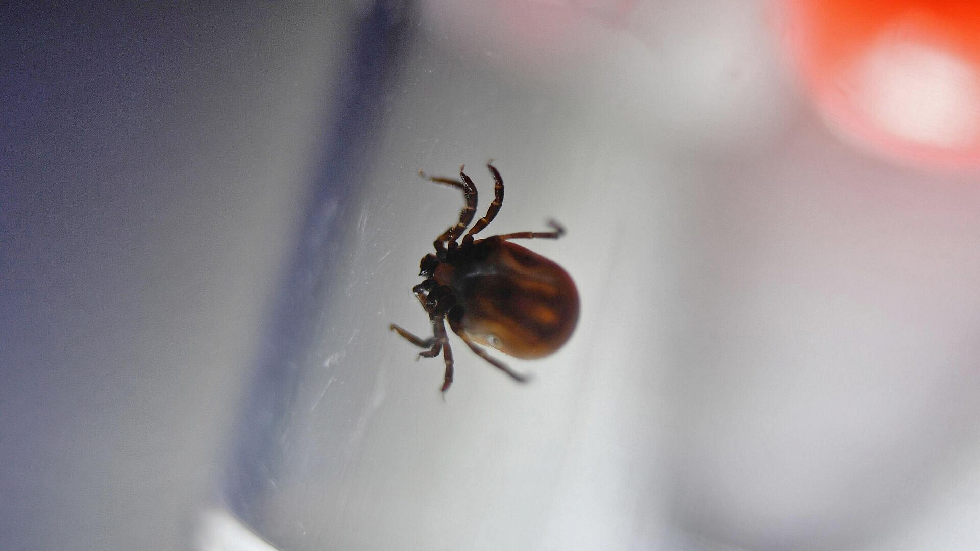 � ������ ��������� �������������� ��������-��������� ����������