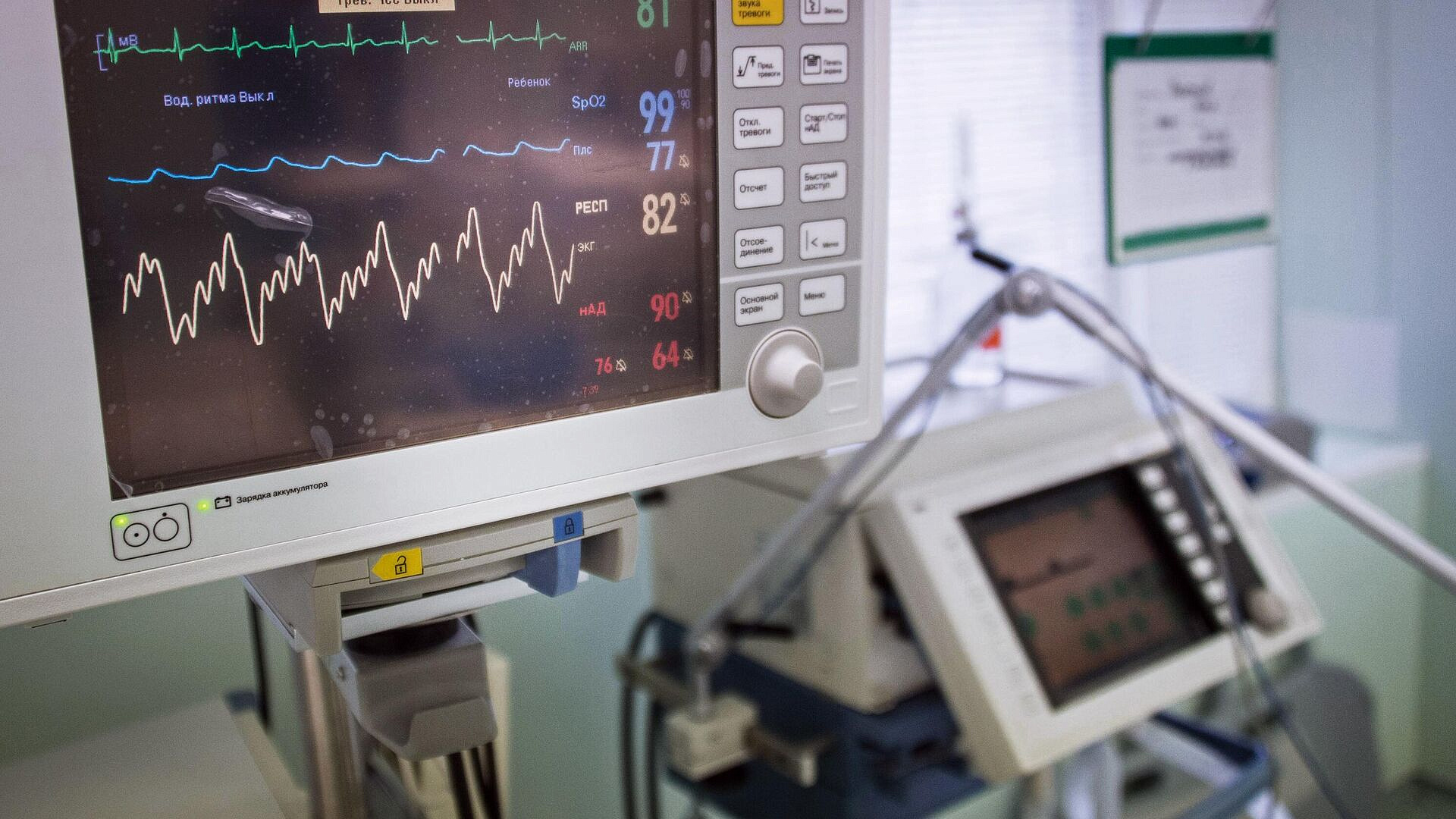 ����� ������� �� ����� ���������� ���������� ���� ������, ������ ���������