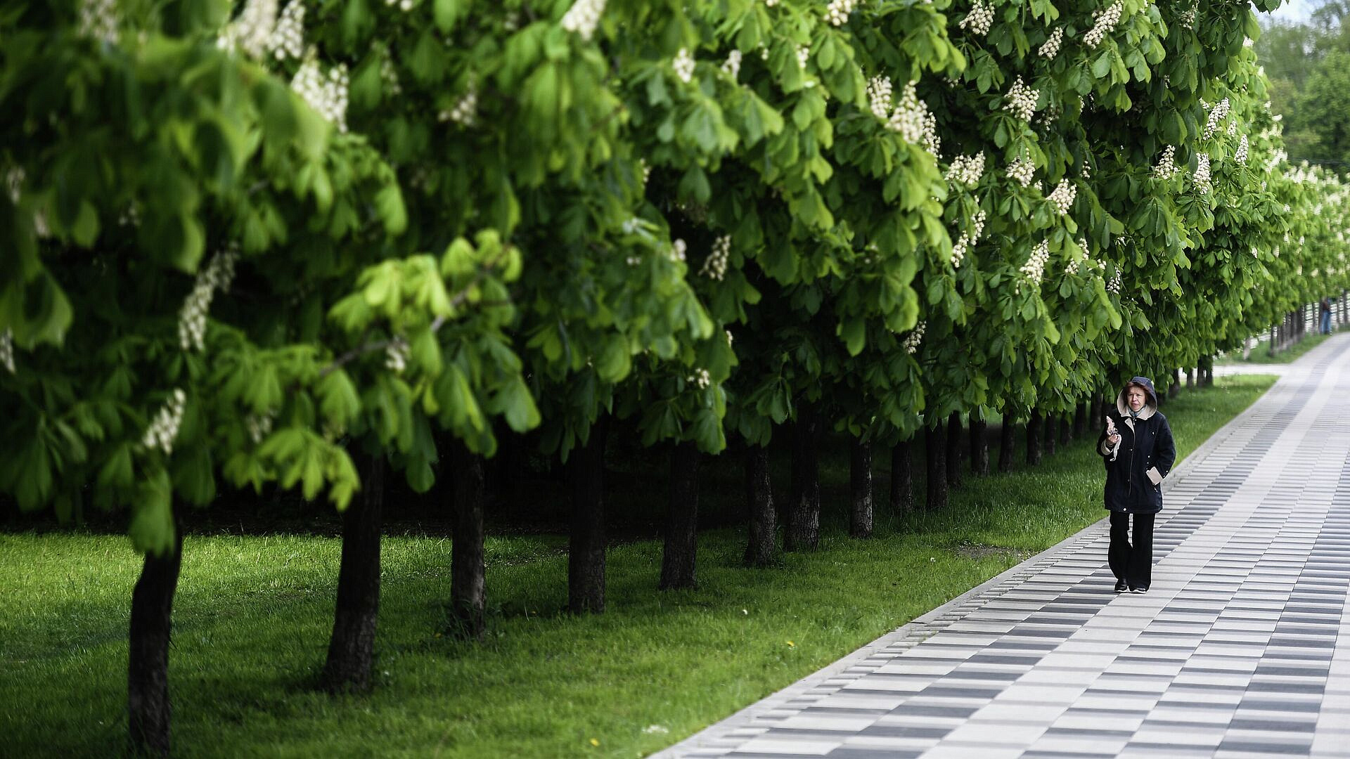 Иммунолог рассказала, как бороться с аллергией в сезон цветения