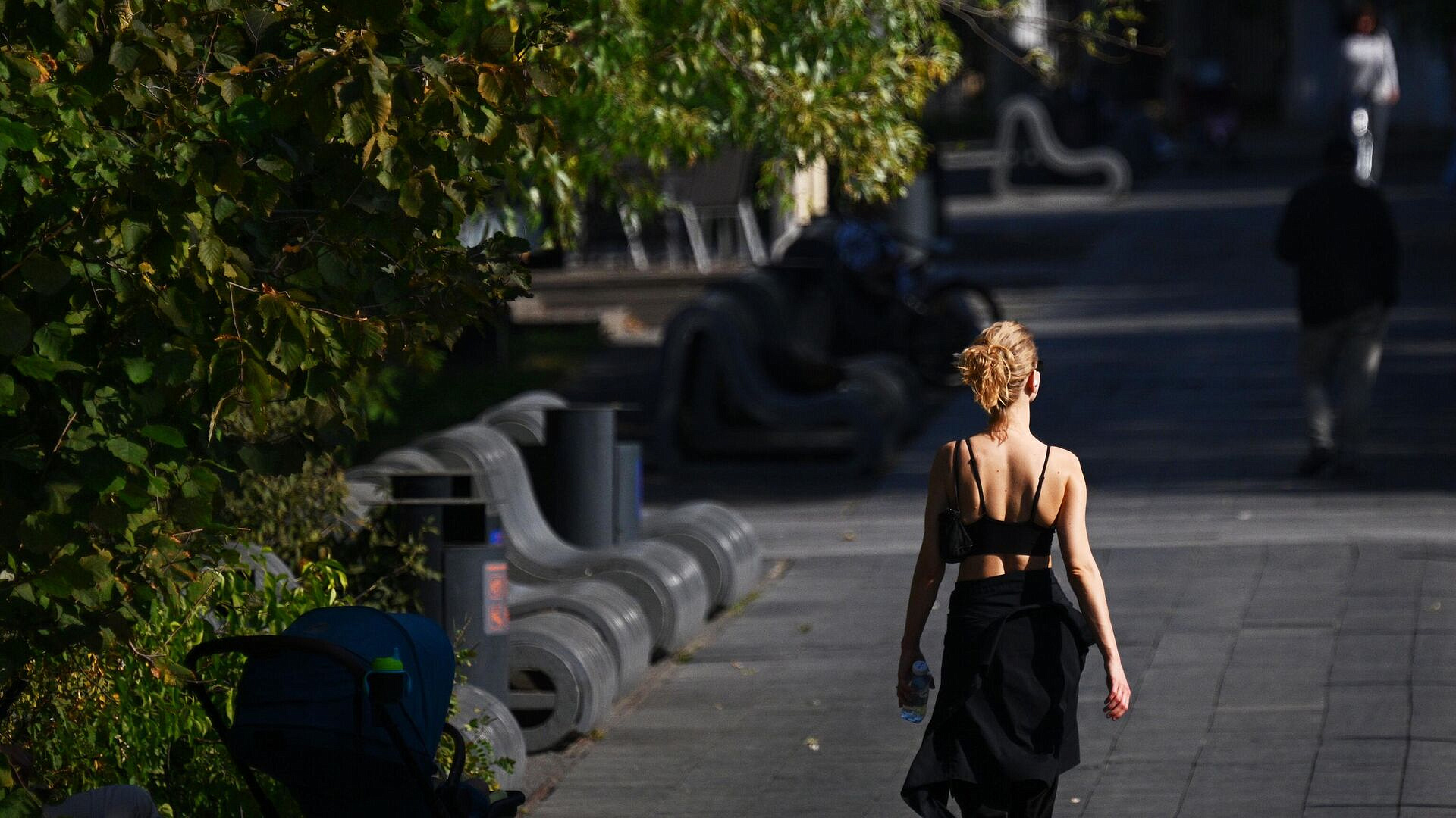 �������� ���������, ����� � ������ ������ ����