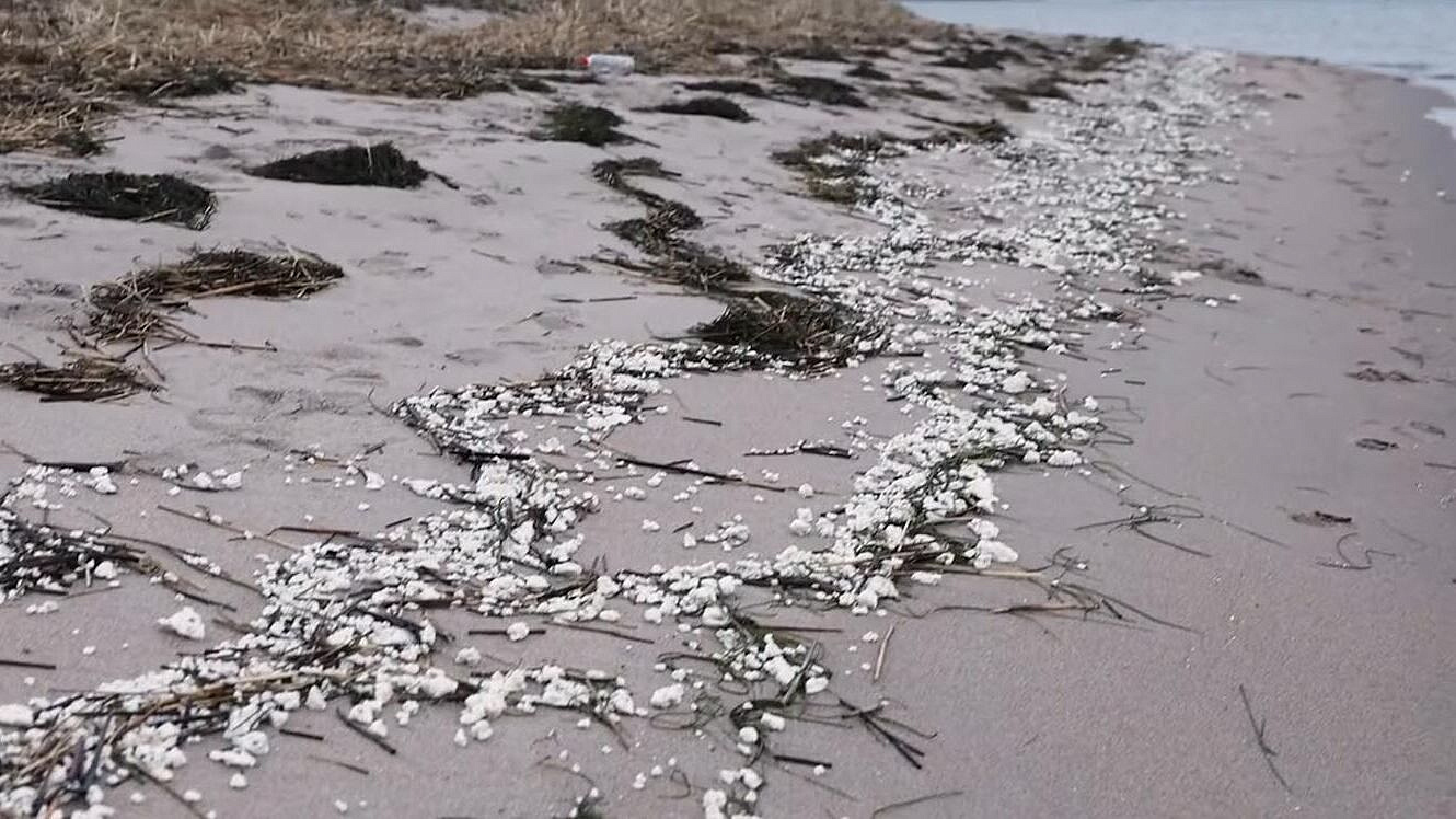 ����������� �� ����� � ��������� ������� ����� ������� ���� �� ���� �����