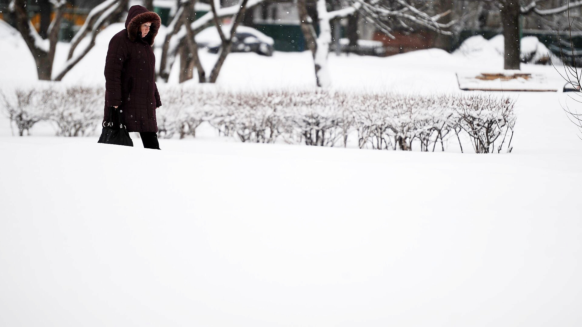 Сугробы в Москве могут обновить рекорд этой зимы