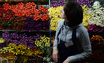 Названы лидеры среди регионов России по числу цветочных салонов