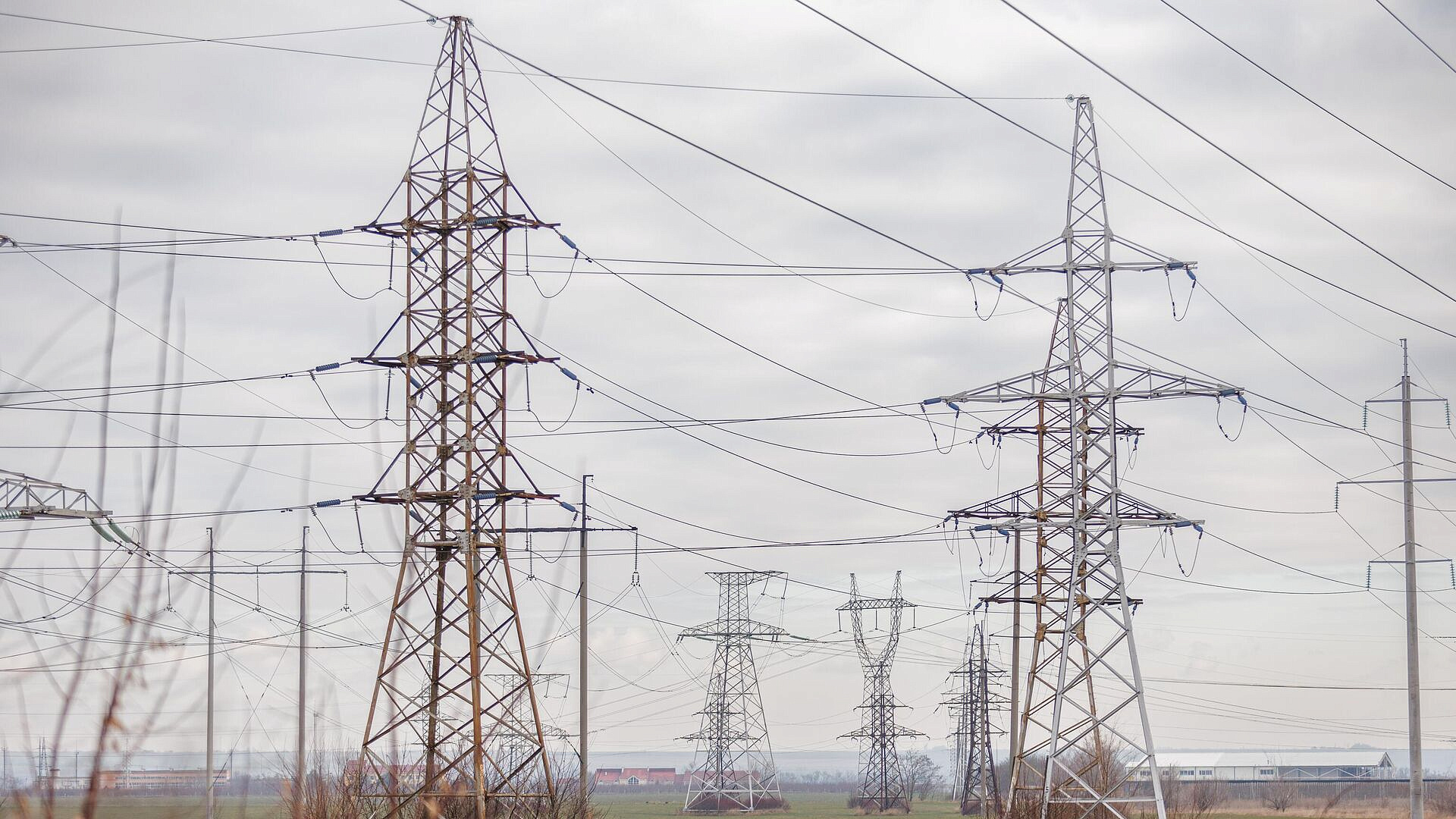 �� ��� ���� ����� ������� ���� ����� �������