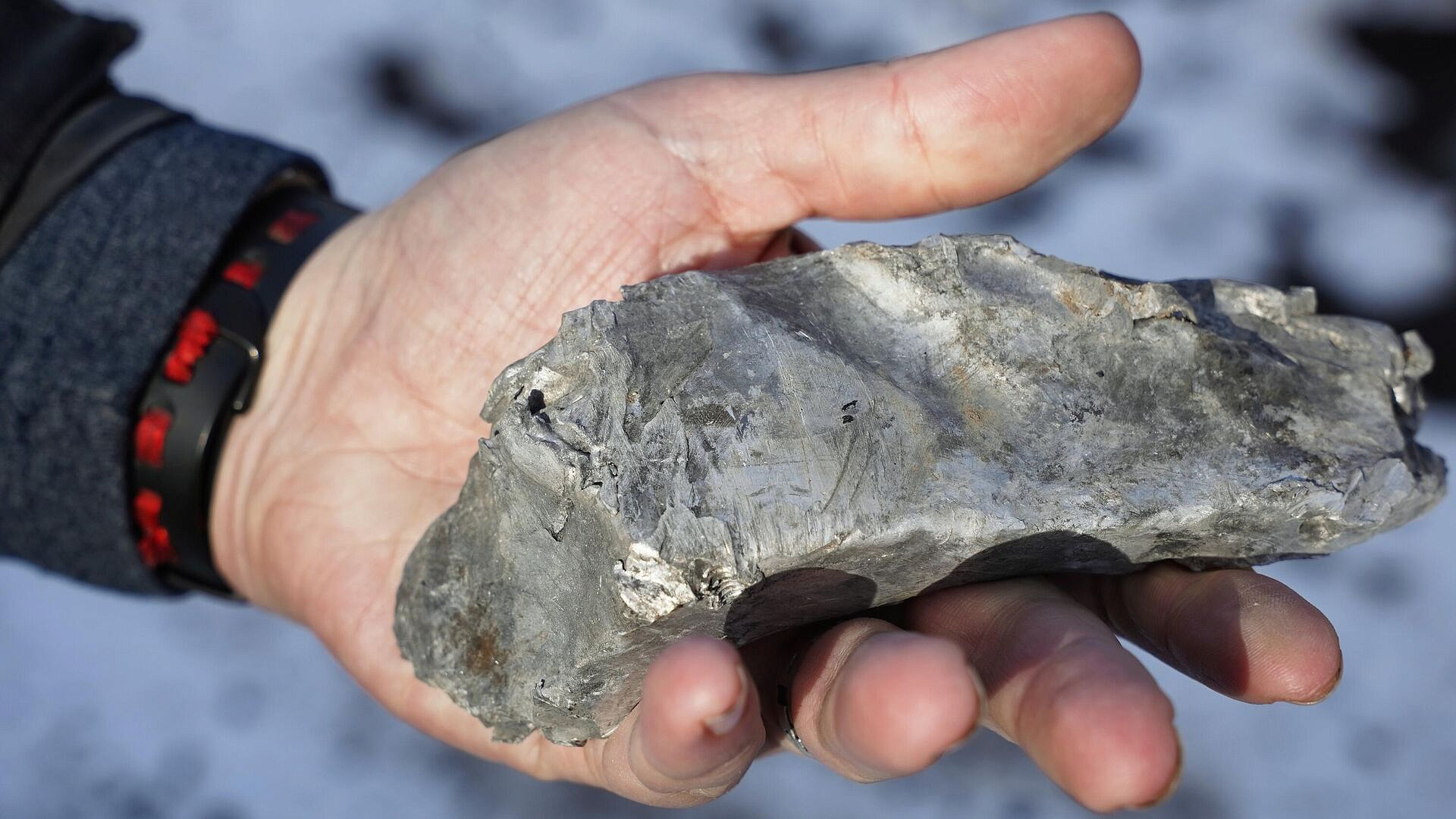 ���������� ������ 29 ��� �� ����� ���������� ���������� ���