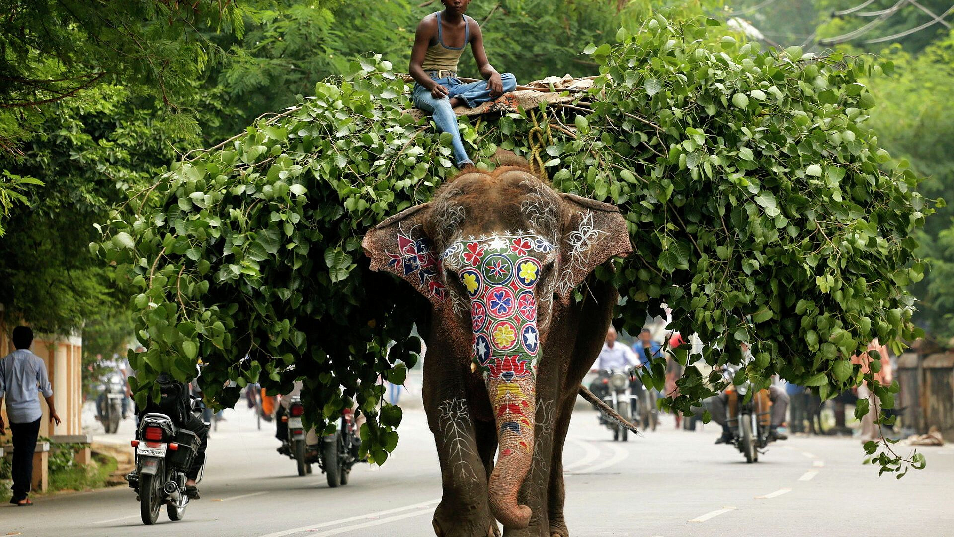 � ������ ���������� � ������ �����-������