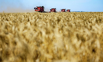 Путин отметил снижение темпов сельхозпроизводства в Ростовской области