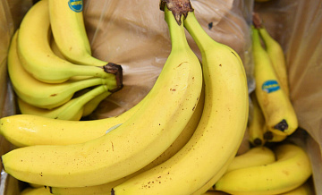 Россия разрешит поставки бананов от пяти экспортеров из Эквадора