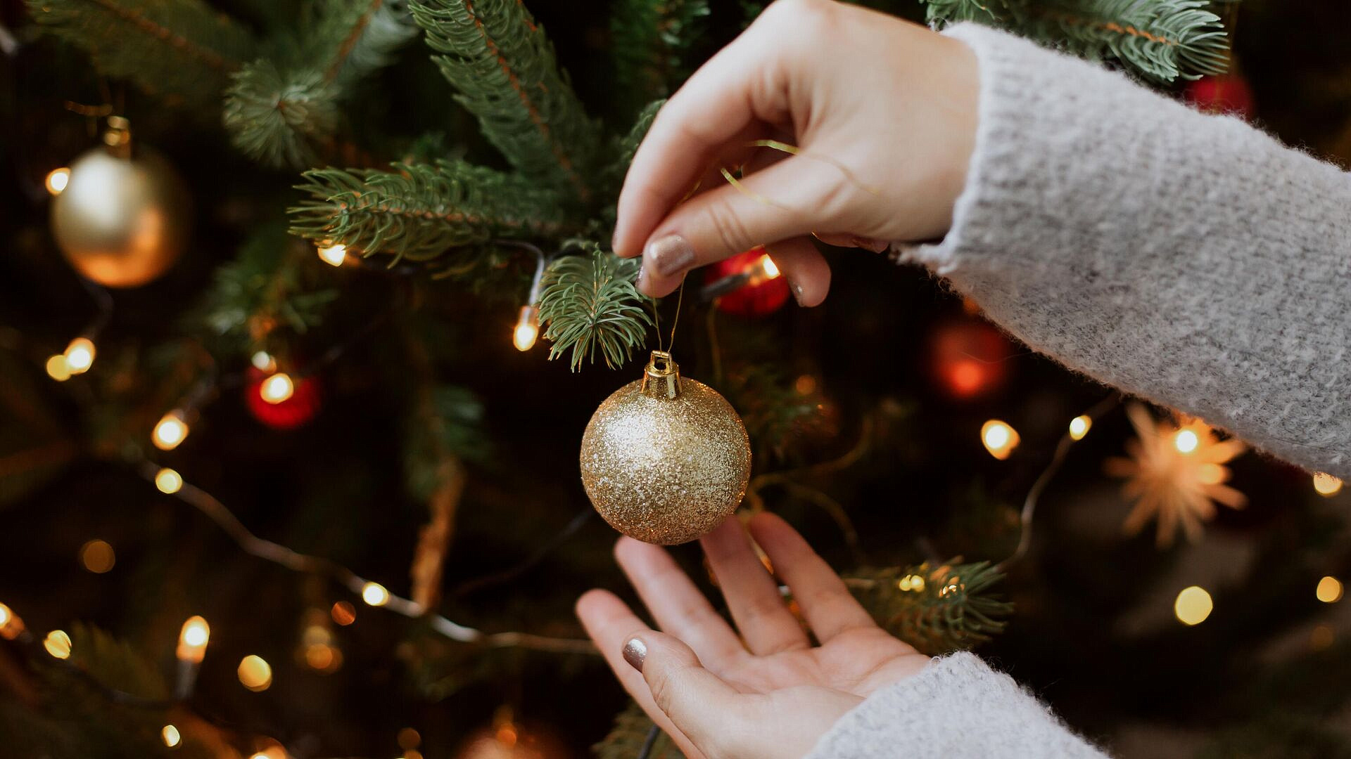 ����� �������, ��� �������� �������� ���������� ��������