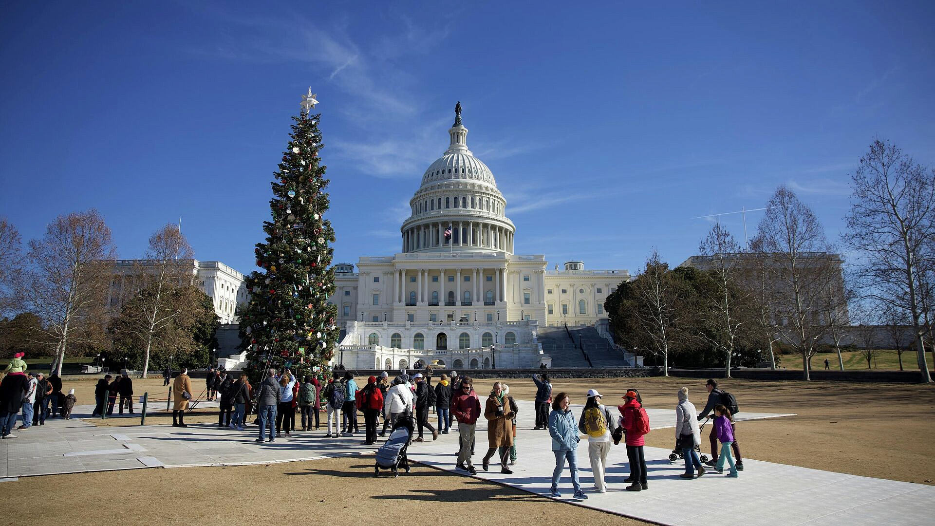 "� ������� 24 �����": � ��� ������� ��������� ��� �������