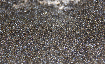 В Росрыболовстве рассказали, почему черная икра не станет дешевле