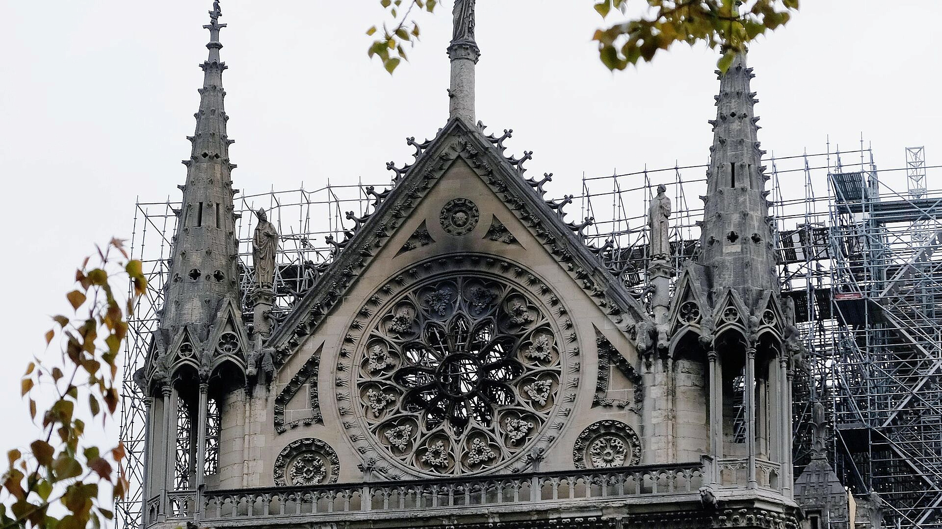 ���� ����-���� ������� � ������� ����� ������� �� ���������� �������������