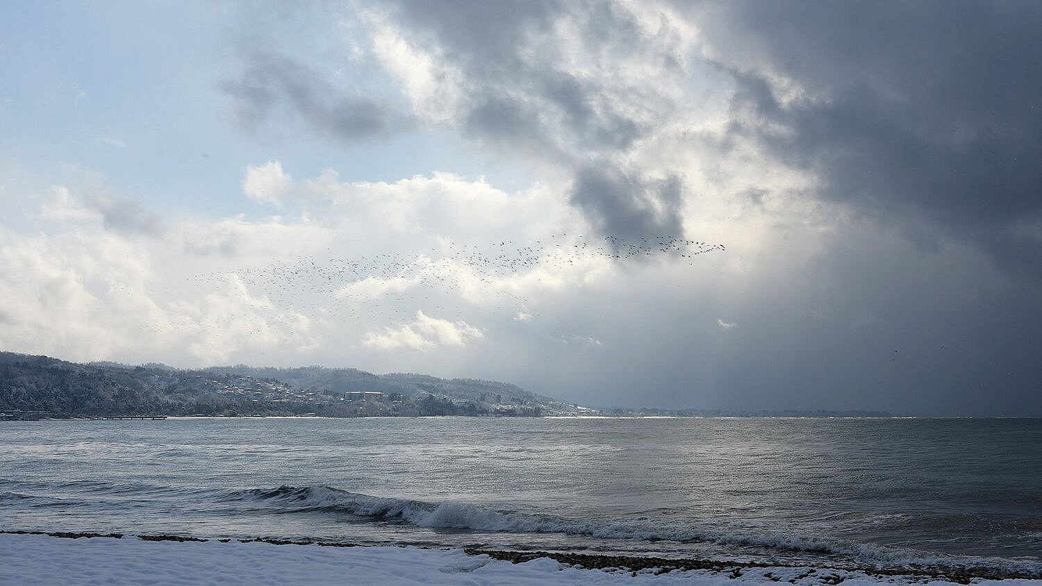 � ������ ���� ������������ ��������� ������� ��� ����������� ������