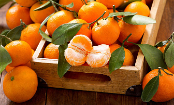 Россия нарастила ввоз мандаринов из Китая на фоне спада турецких поставок