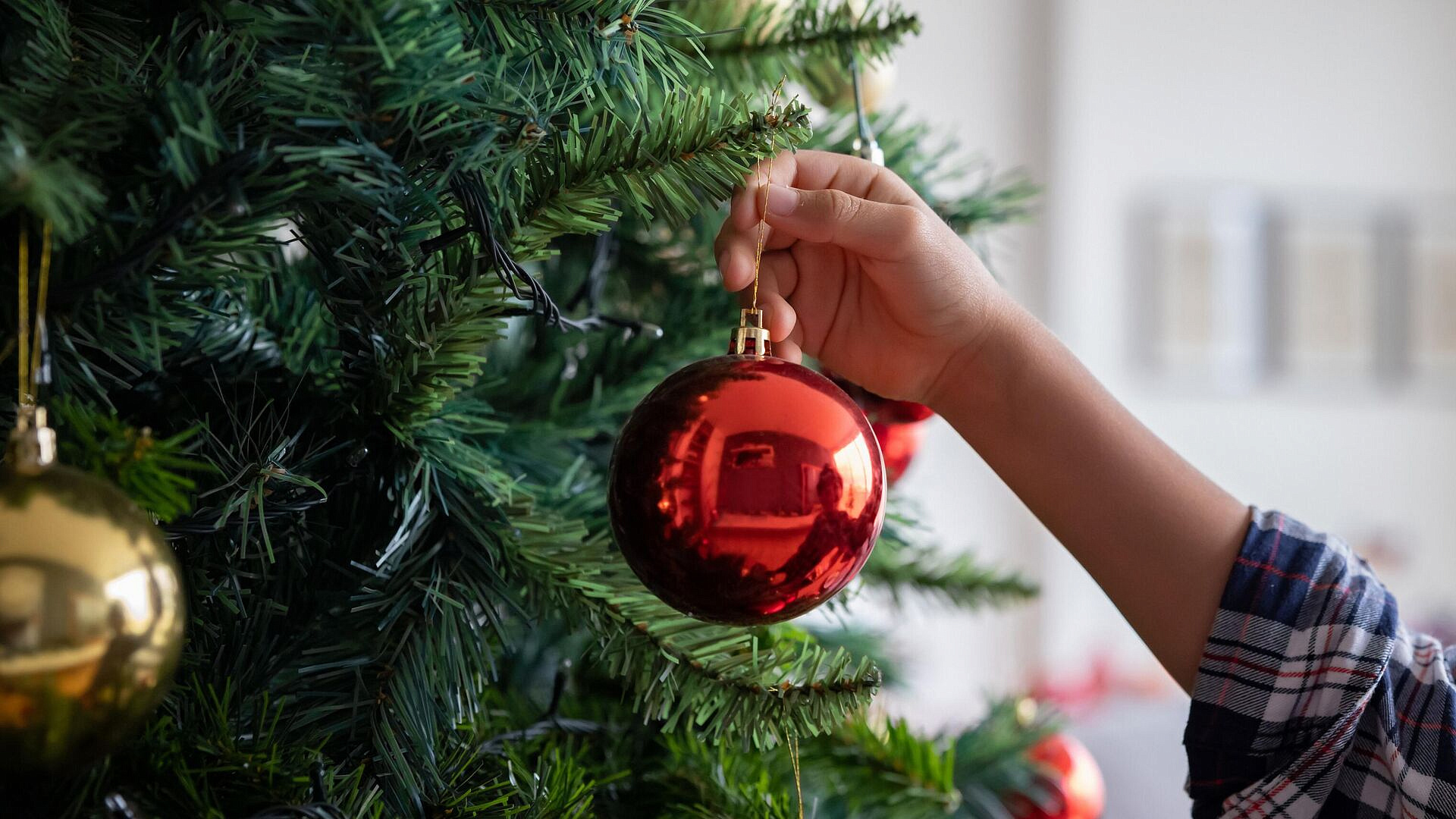 ��������� ����������, ������� ���� ������ ����� � ���������� ��������