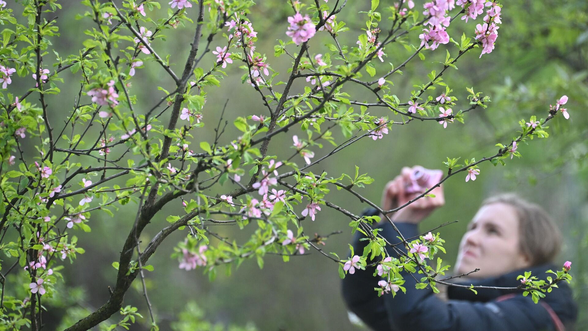 Более 500 учреждений участвуют в акции "Весна в ДК Подмосковья"