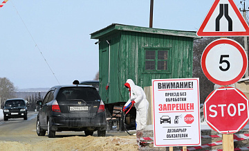 В Новосибирской области назвали причину вспышки пастереллеза