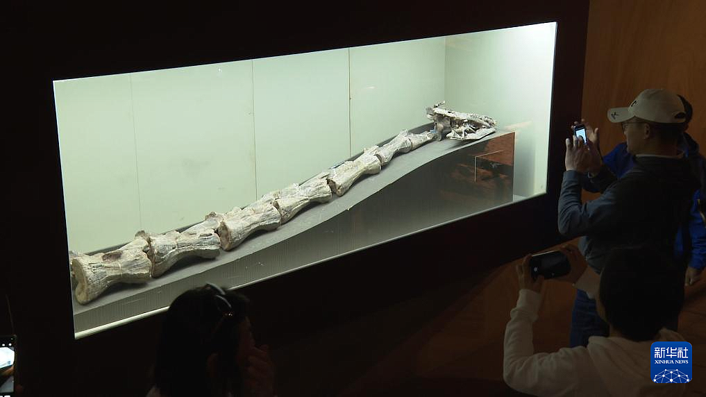 ��������� ������ �������� ����� ��� ��������� ������� ������� �������