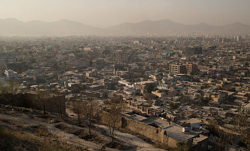 В Афганистане фермерам раздали улучшенные семена