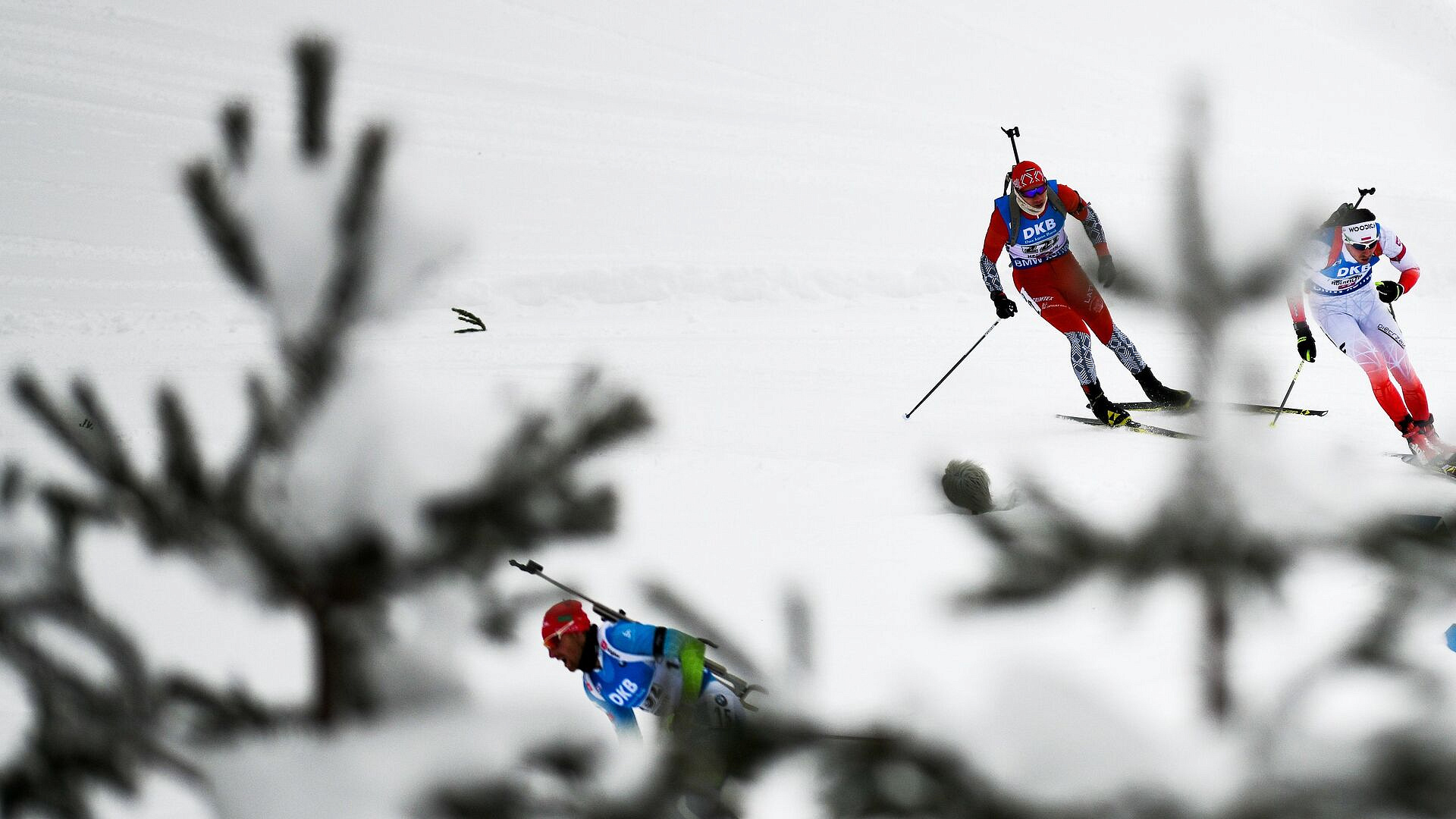 �������� ������������ �������� �������� �� ����� ����� ���� � �����������