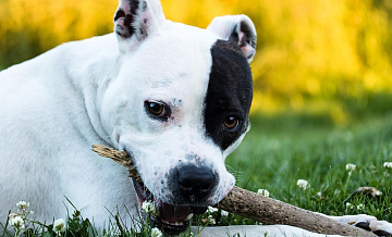 ������ ������������ ������ ��� ��� �� �������� �����