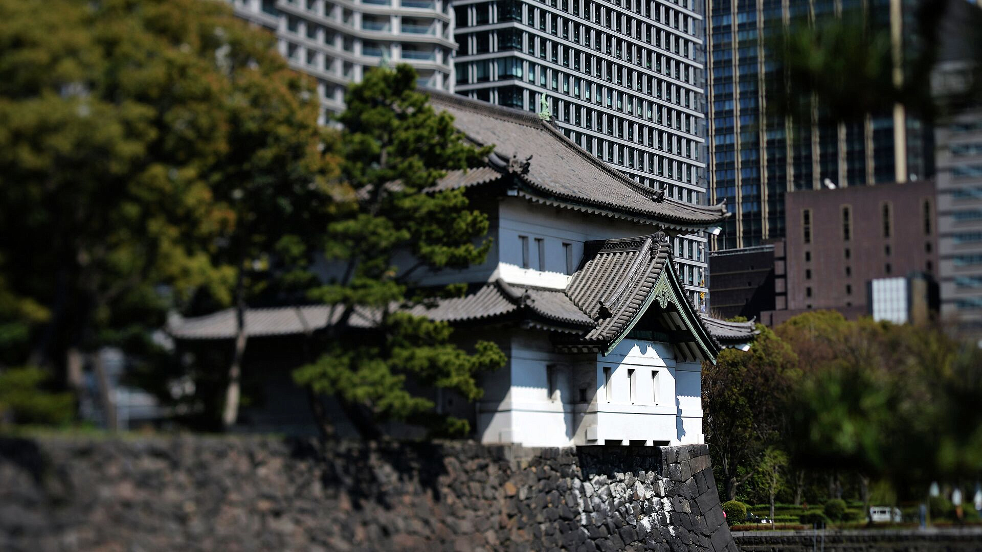 �������� ����� ���� ����������� ����� � ������