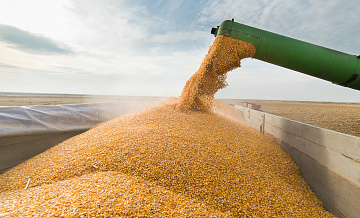 КНР и РФ заключили крупную зерновую сделку